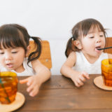 子連れでご飯！鳥取で子供と楽しめるランチやディナー10選